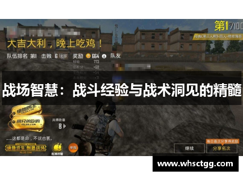 战场智慧：战斗经验与战术洞见的精髓